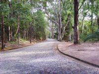 Parque das mangabeiras, Por Josimar de Sales Costa